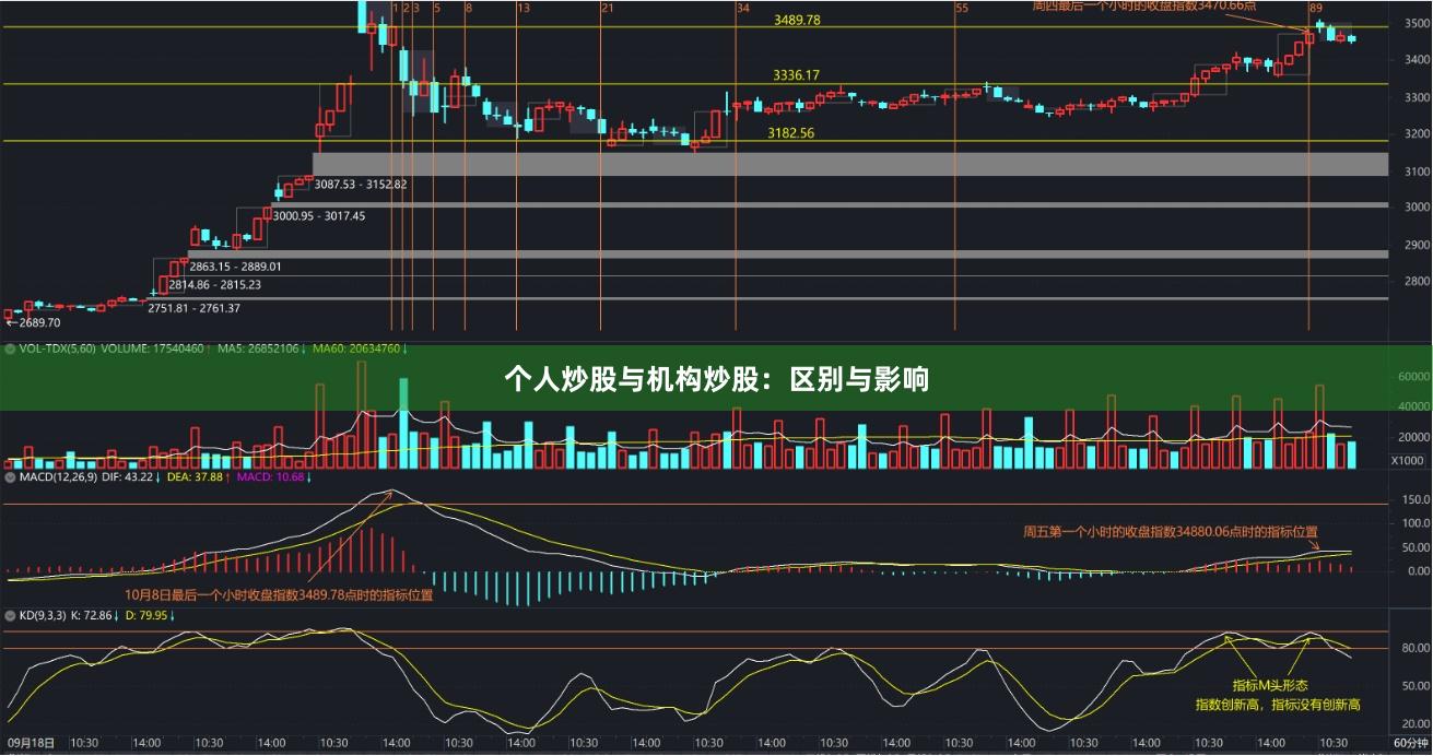 个人炒股与机构炒股：区别与影响